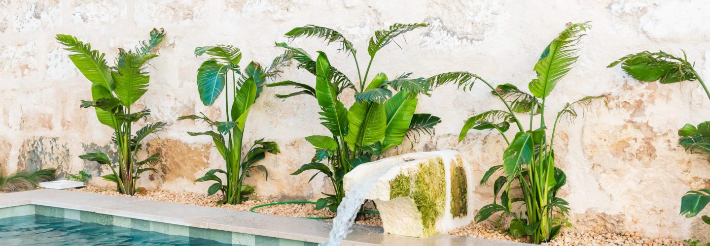 MURO 30 Dic 2025_230